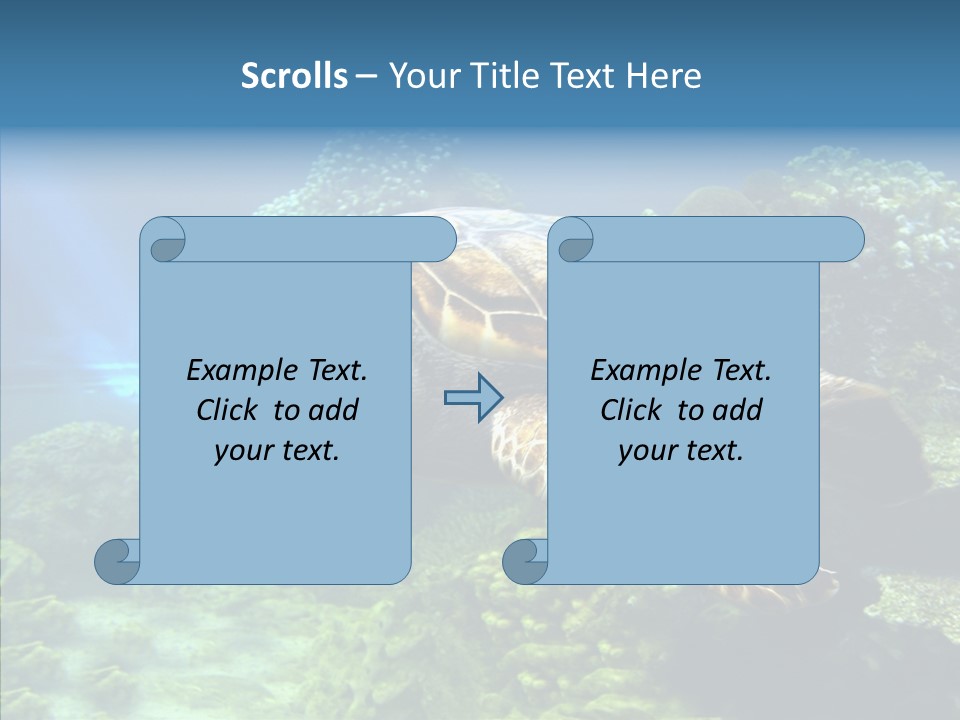 Marine Turtle Ocean PowerPoint Template