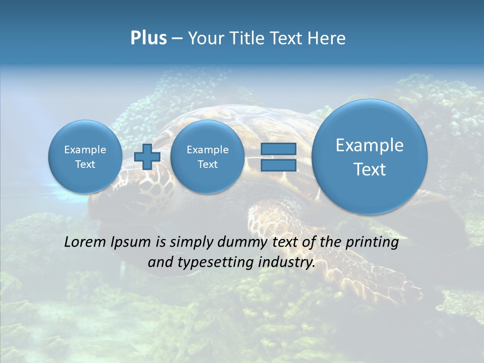Marine Turtle Ocean PowerPoint Template