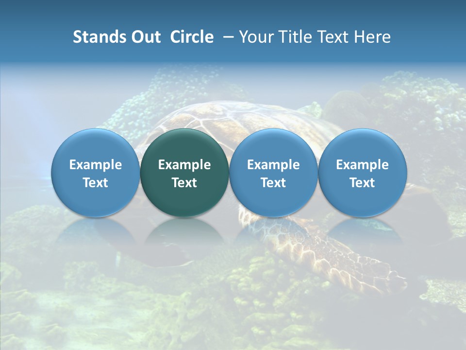 Marine Turtle Ocean PowerPoint Template