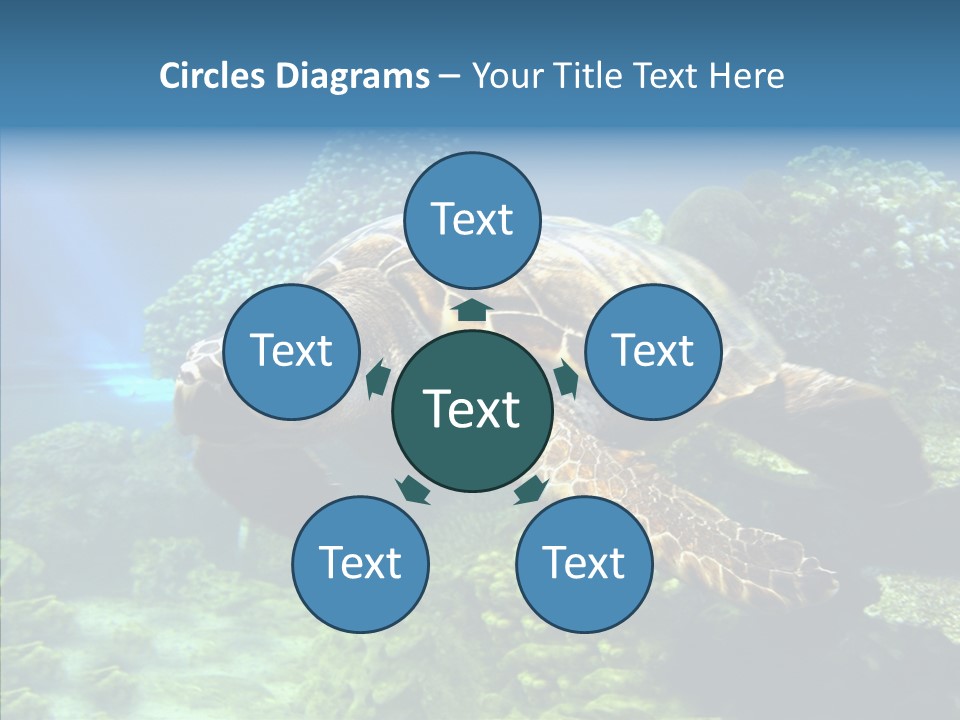 Marine Turtle Ocean PowerPoint Template