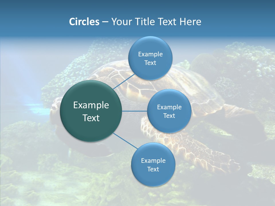 Marine Turtle Ocean PowerPoint Template