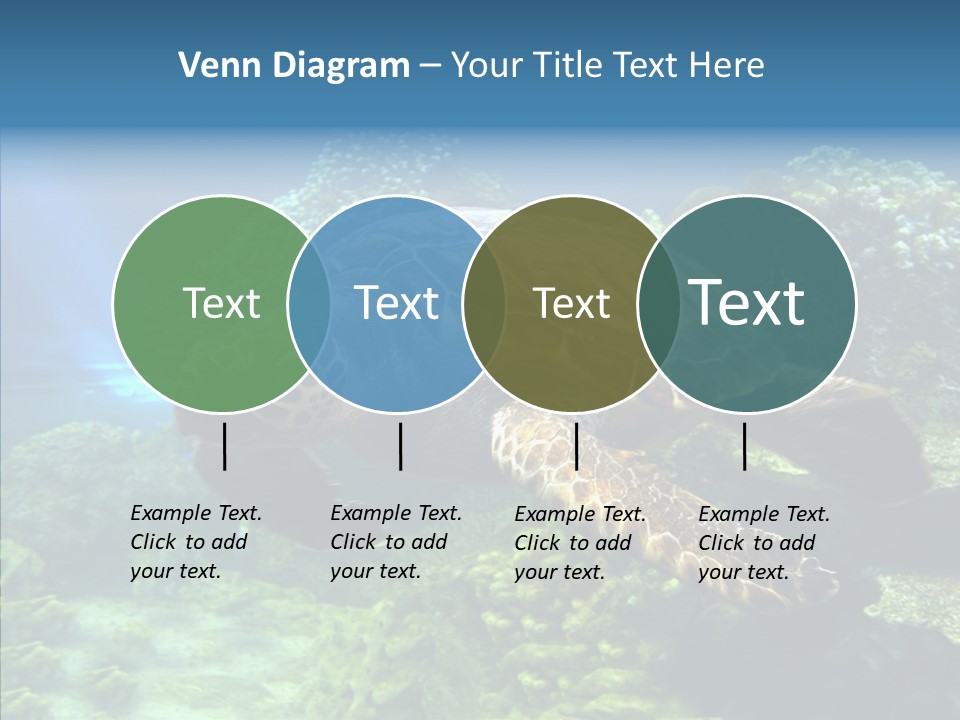 Marine Turtle Ocean PowerPoint Template