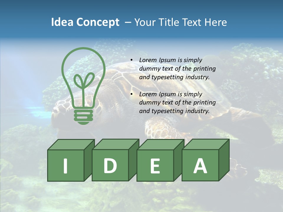 Marine Turtle Ocean PowerPoint Template