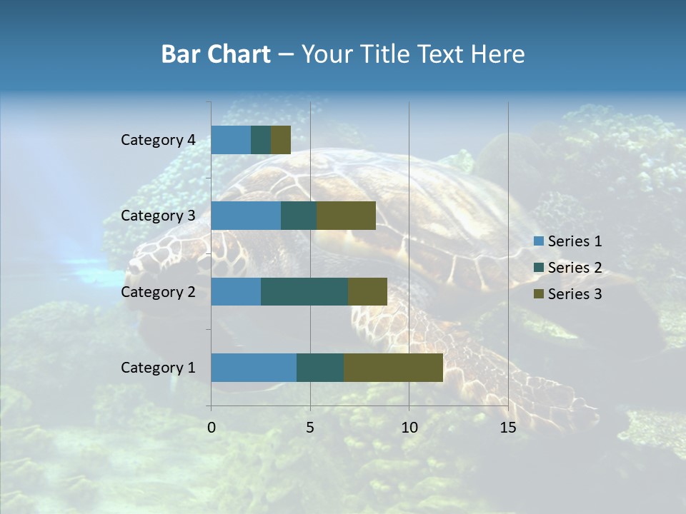 Marine Turtle Ocean PowerPoint Template