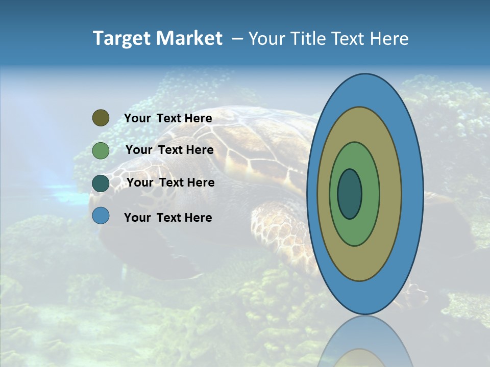 Marine Turtle Ocean PowerPoint Template
