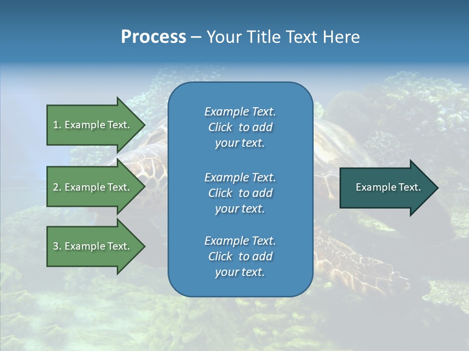 Marine Turtle Ocean PowerPoint Template