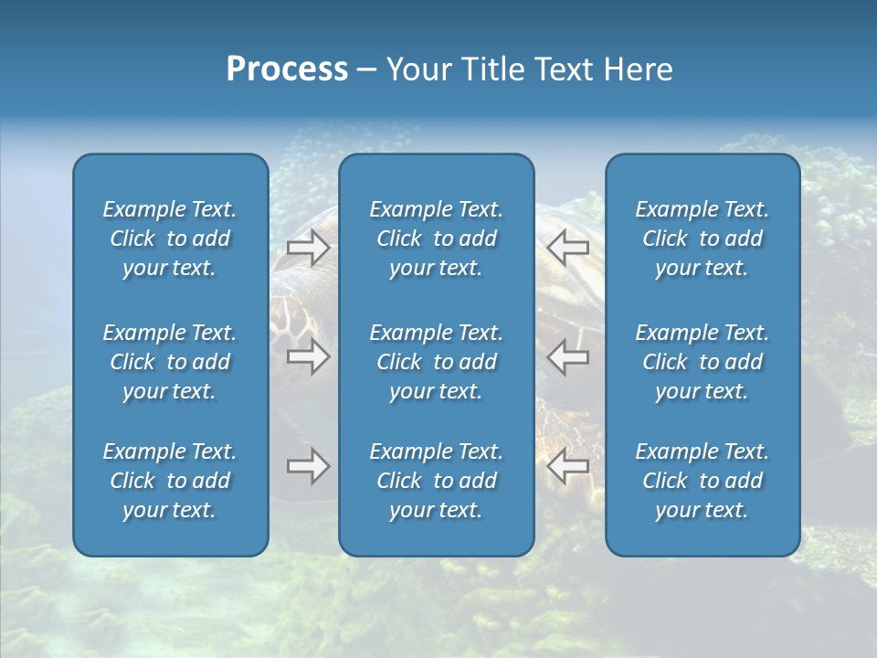 Marine Turtle Ocean PowerPoint Template