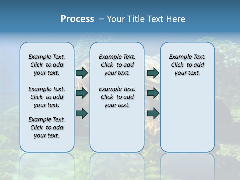 Marine Turtle Ocean PowerPoint Template