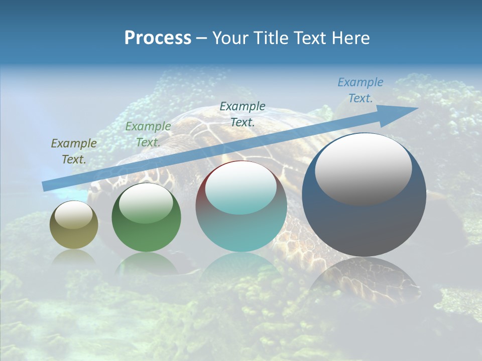 Marine Turtle Ocean PowerPoint Template