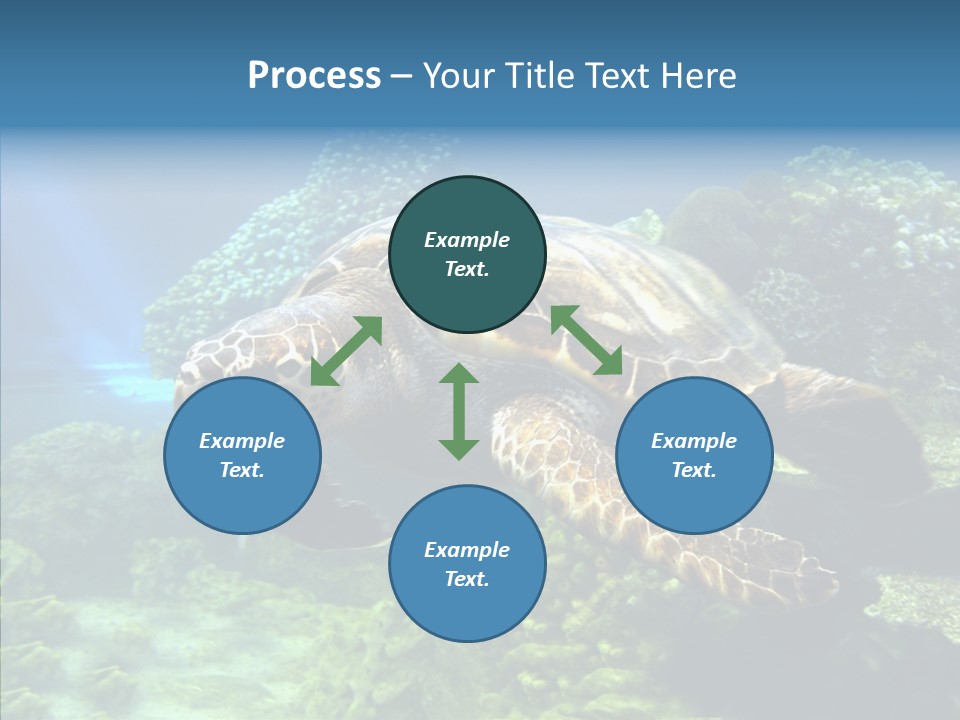 Marine Turtle Ocean PowerPoint Template