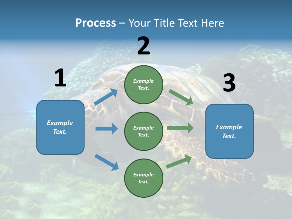 Marine Turtle Ocean PowerPoint Template