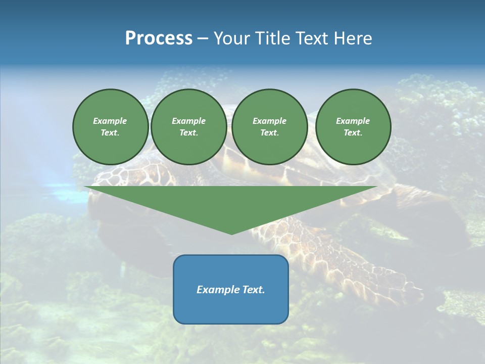 Marine Turtle Ocean PowerPoint Template