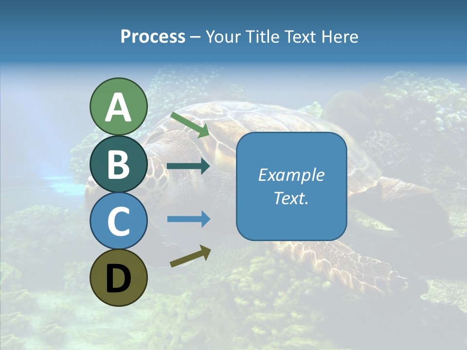 Marine Turtle Ocean PowerPoint Template