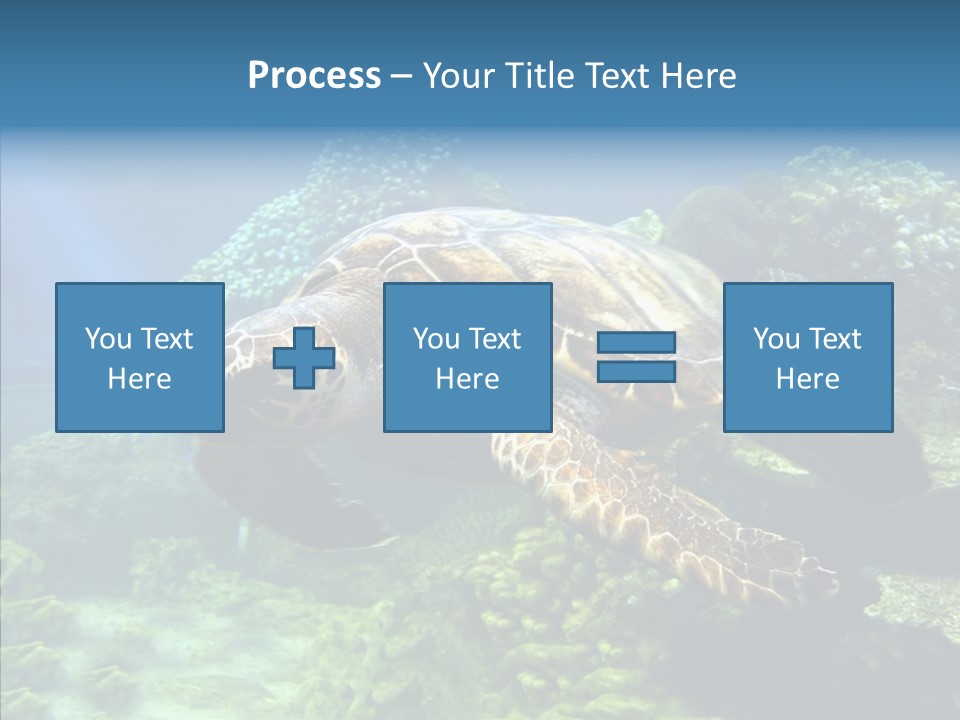 Marine Turtle Ocean PowerPoint Template