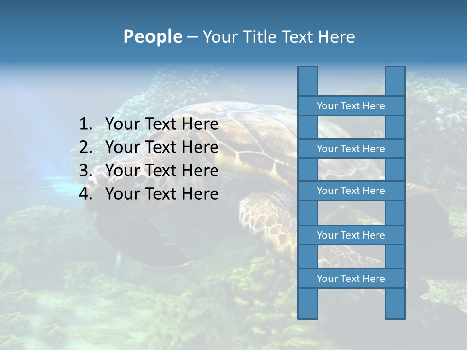 Marine Turtle Ocean PowerPoint Template