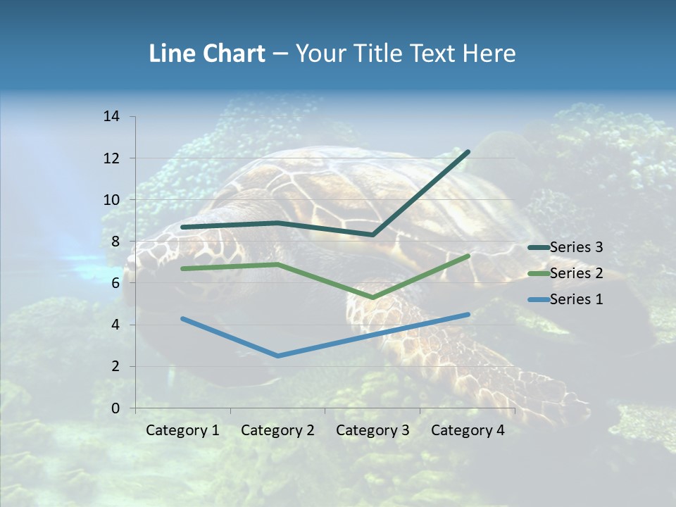 Marine Turtle Ocean PowerPoint Template