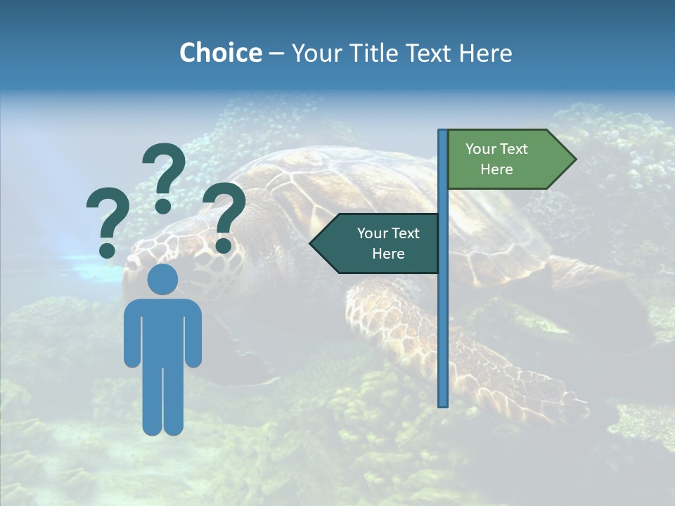 Marine Turtle Ocean PowerPoint Template