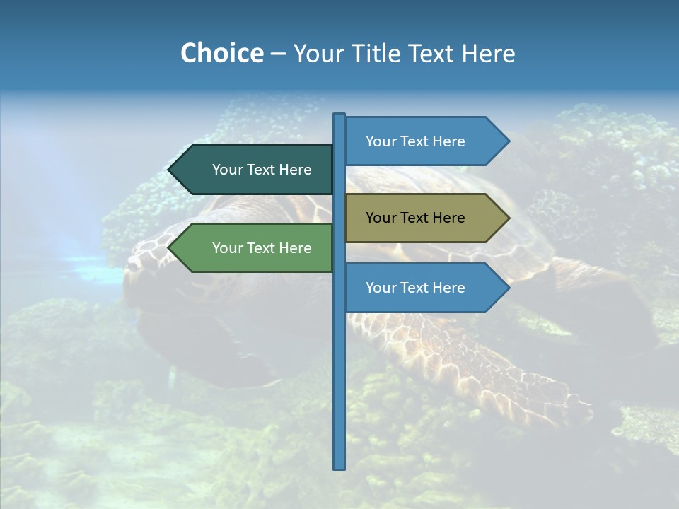 Marine Turtle Ocean PowerPoint Template