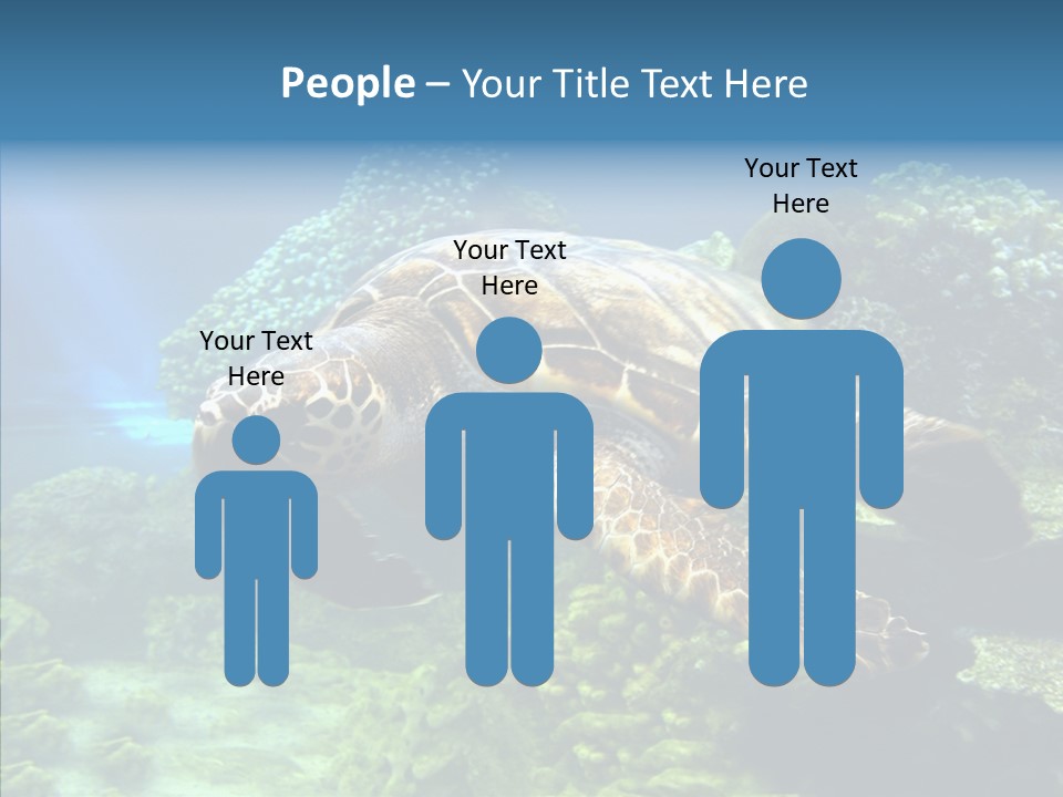 Marine Turtle Ocean PowerPoint Template
