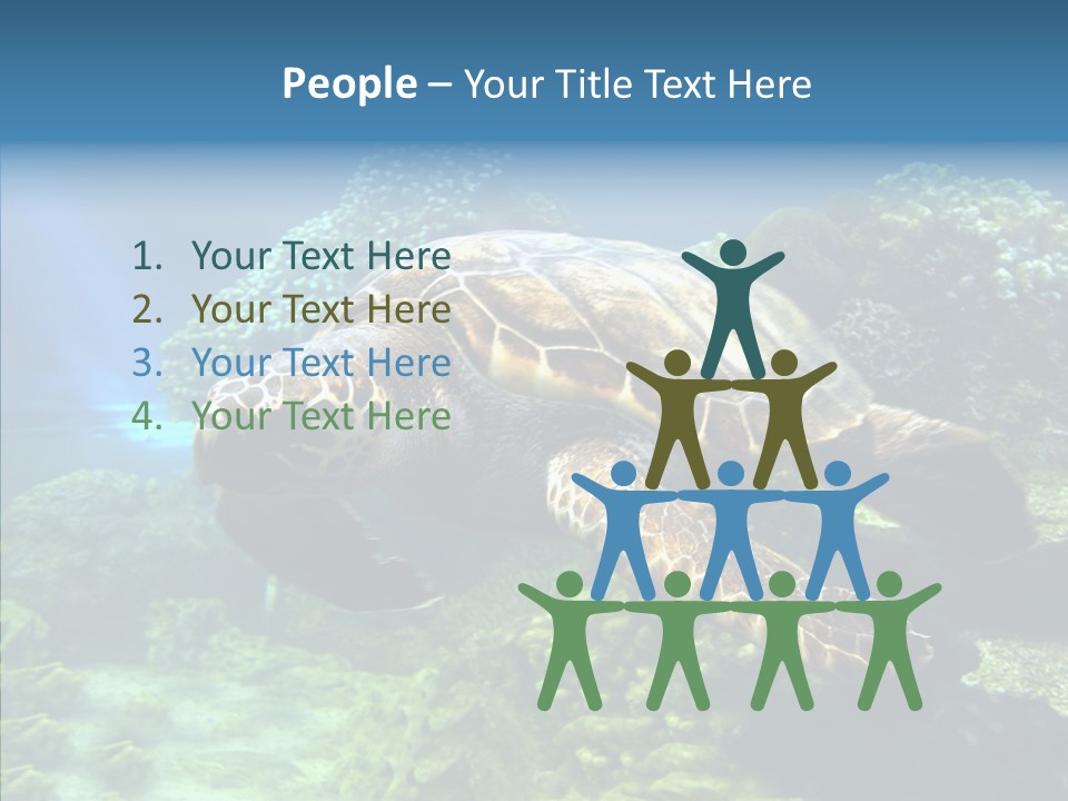 Marine Turtle Ocean PowerPoint Template