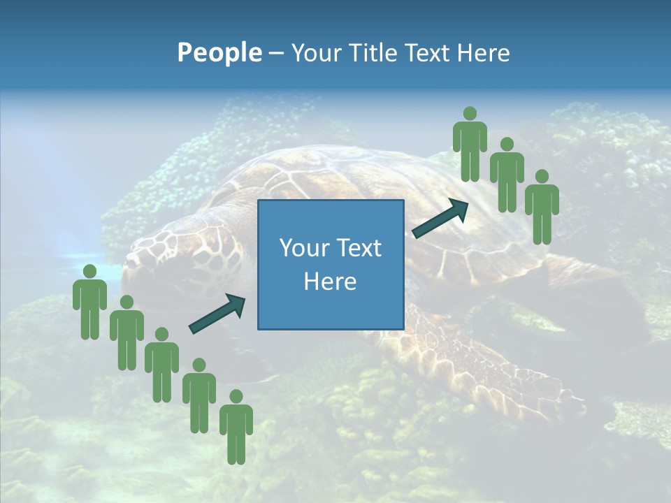 Marine Turtle Ocean PowerPoint Template