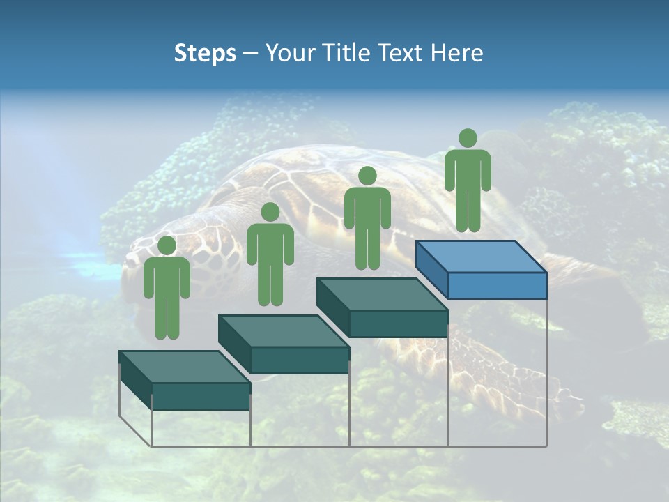 Marine Turtle Ocean PowerPoint Template