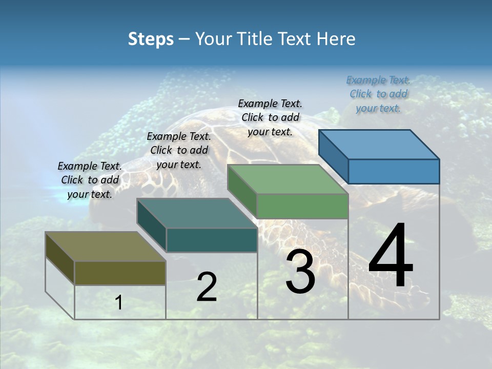Marine Turtle Ocean PowerPoint Template
