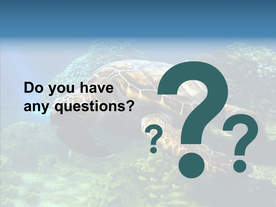 Marine Turtle Ocean PowerPoint Template