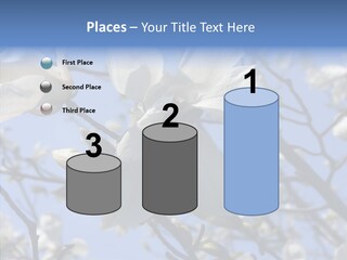 Per On Room Profe Ional PowerPoint Template