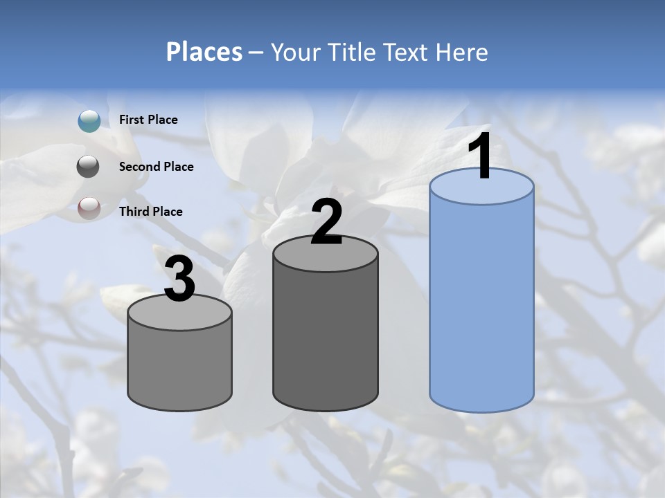 Per On Room Profe Ional PowerPoint Template