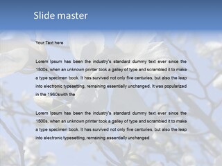 Per On Room Profe Ional PowerPoint Template