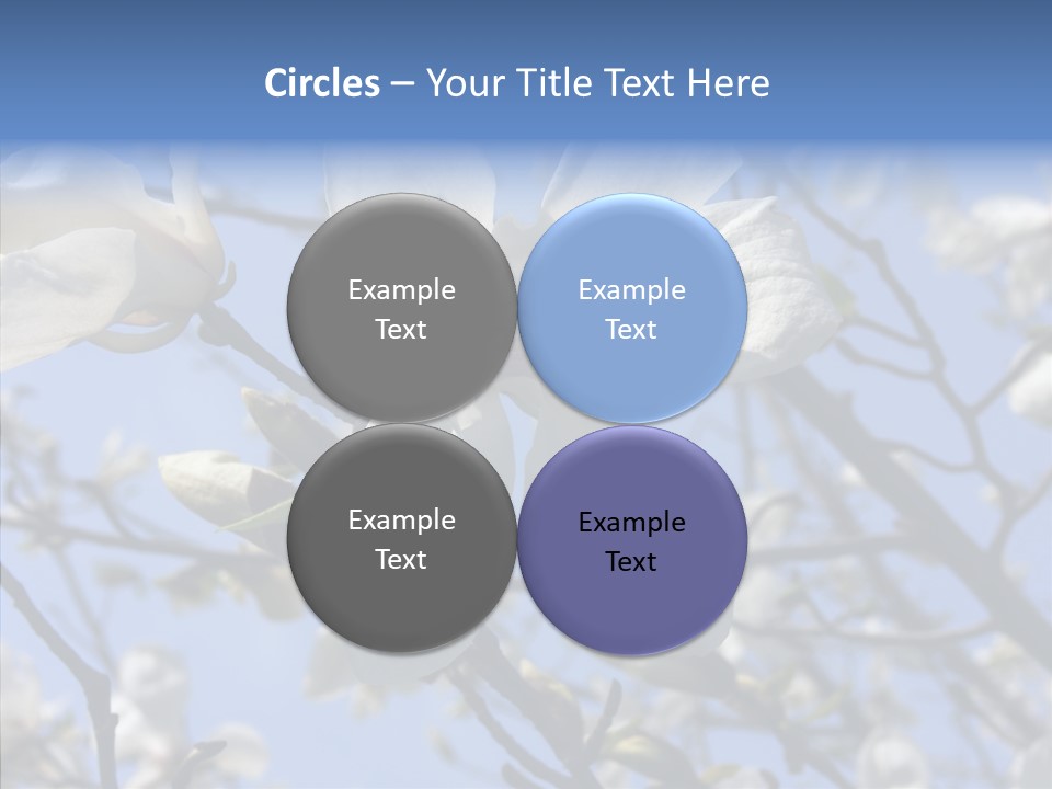 Per On Room Profe Ional PowerPoint Template