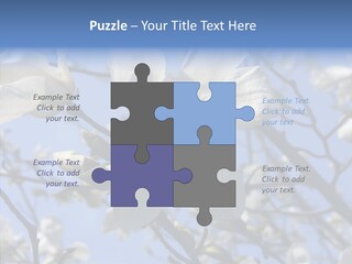 Per On Room Profe Ional PowerPoint Template