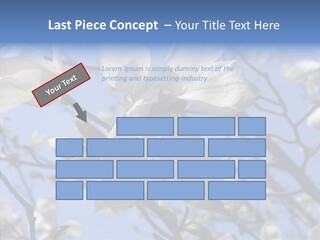Per On Room Profe Ional PowerPoint Template