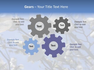 Per On Room Profe Ional PowerPoint Template