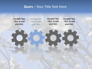Per On Room Profe Ional PowerPoint Template