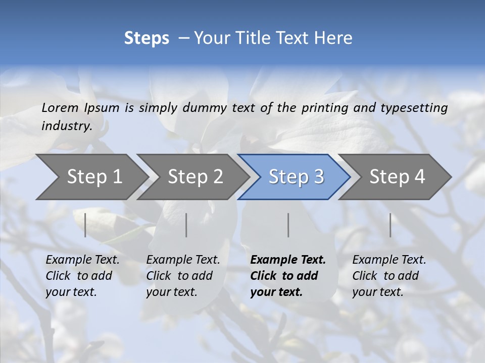 Per On Room Profe Ional PowerPoint Template