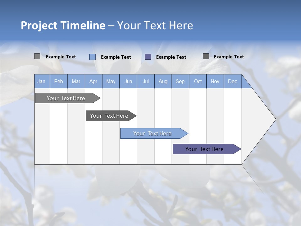 Per On Room Profe Ional PowerPoint Template