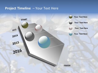 Per On Room Profe Ional PowerPoint Template