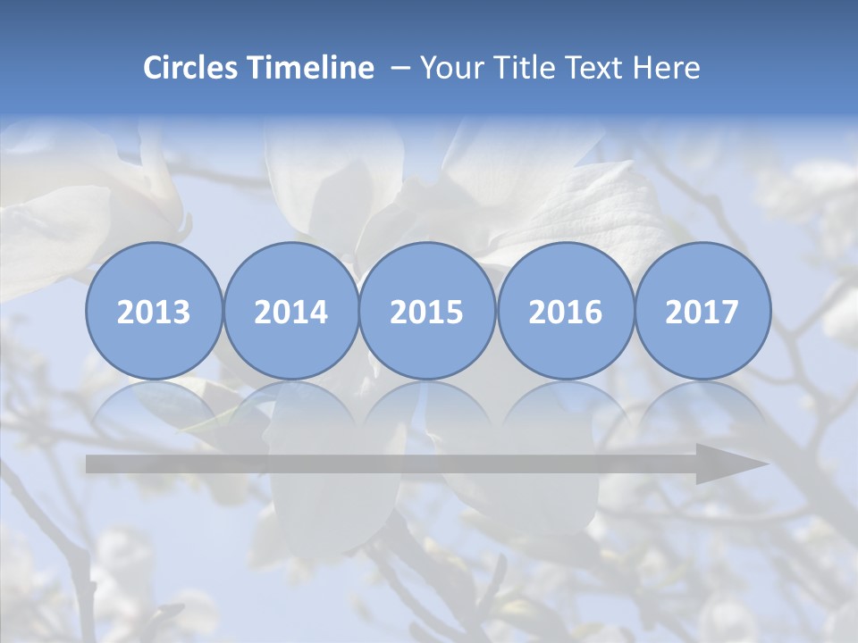Per On Room Profe Ional PowerPoint Template