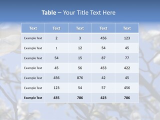 Per On Room Profe Ional PowerPoint Template