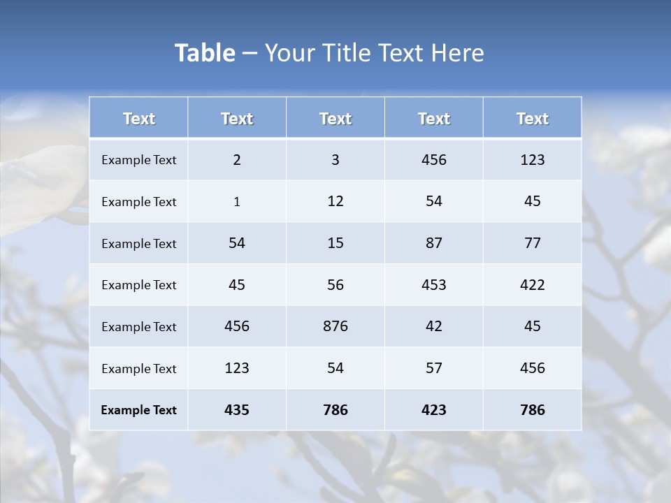 Per On Room Profe Ional PowerPoint Template