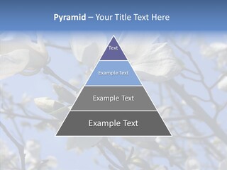 Per On Room Profe Ional PowerPoint Template