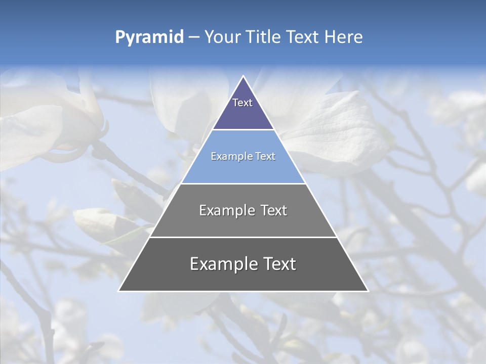 Per On Room Profe Ional PowerPoint Template