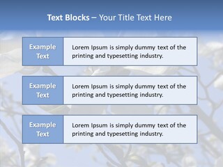 Per On Room Profe Ional PowerPoint Template