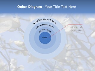 Per On Room Profe Ional PowerPoint Template