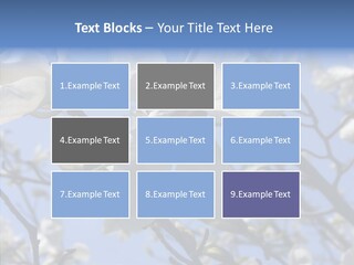 Per On Room Profe Ional PowerPoint Template