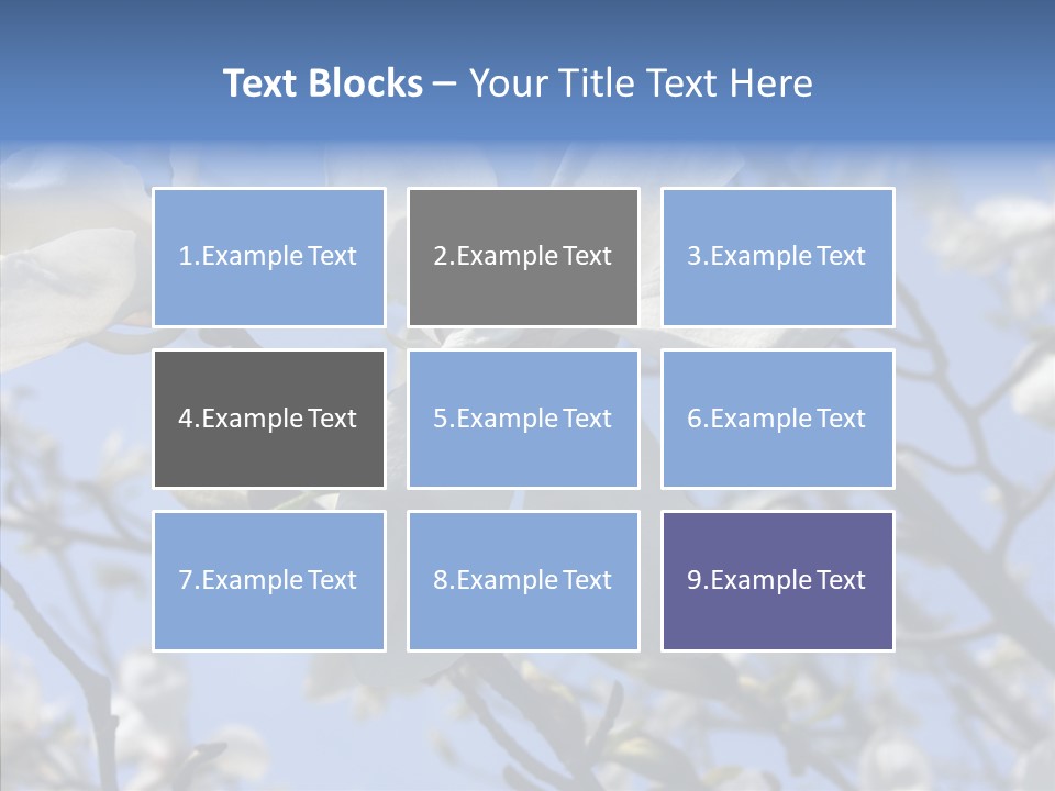 Per On Room Profe Ional PowerPoint Template