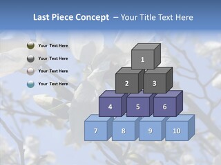 Per On Room Profe Ional PowerPoint Template