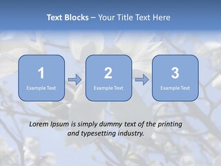 Per On Room Profe Ional PowerPoint Template